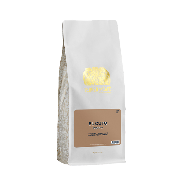 TERRE DE CAFÉ